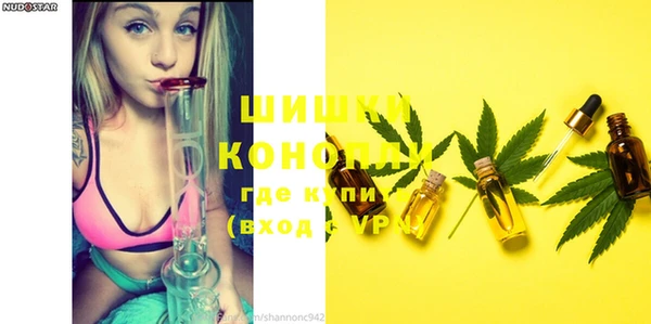 дмт Крымск