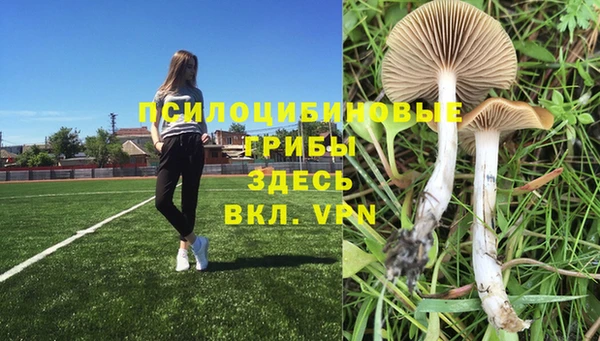 каннабис Магас